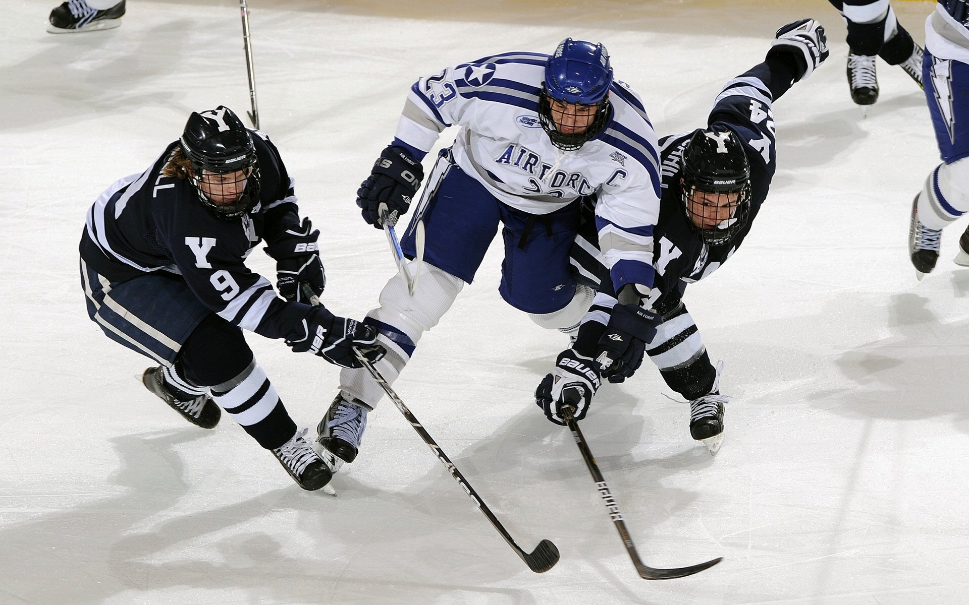 世界杯训练基地首次公开，世界杯场馆